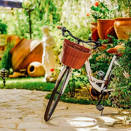 Homestay Cunda Esen Ayvalik