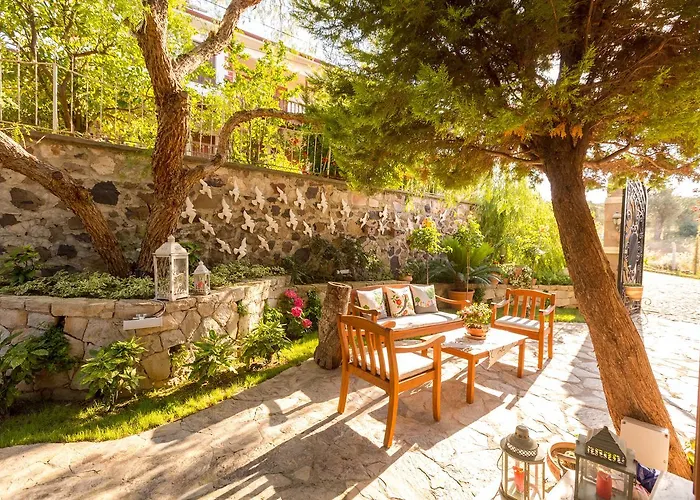 Проживание в семье Cunda Esen